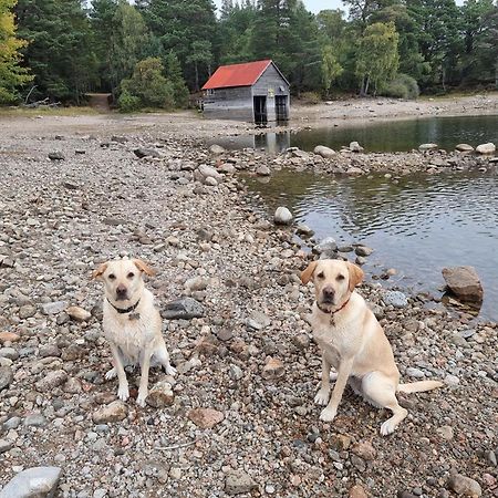 The Shelter Stone Cottage Aviemore Esterno foto
