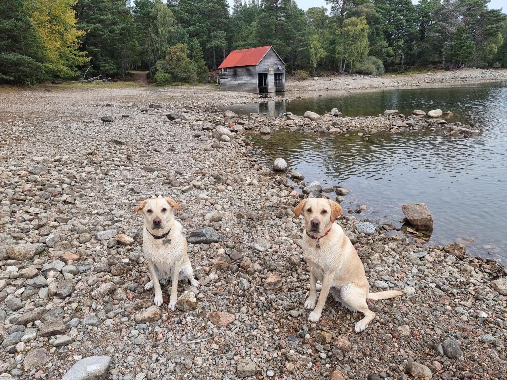 The Shelter Stone Cottage Aviemore Esterno foto